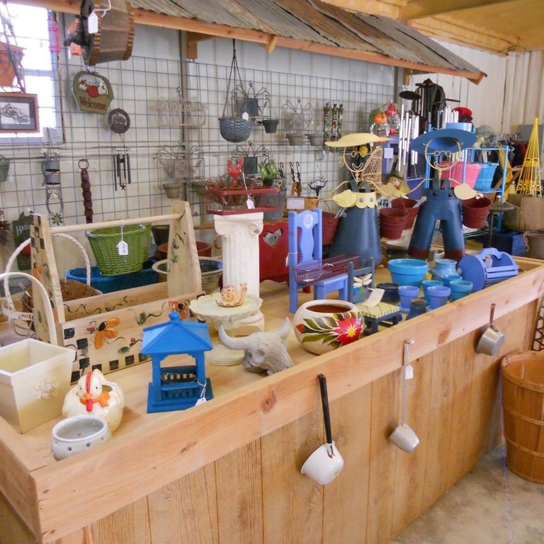 Picture 9