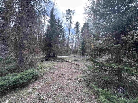Arrowhead Lot in Colorado Rockies