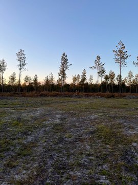 Country Home Lots With Septic Permits
