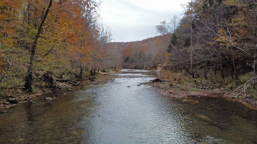 Picture 7