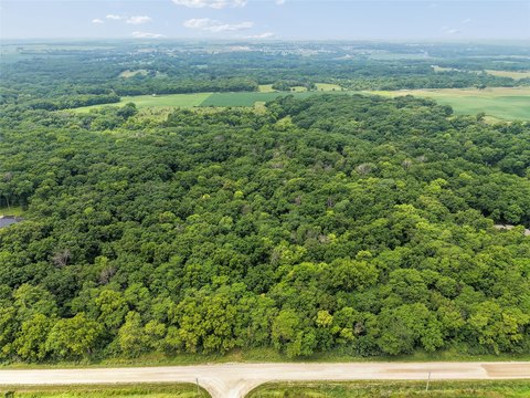 Timbered Residential Acreage with Road Access