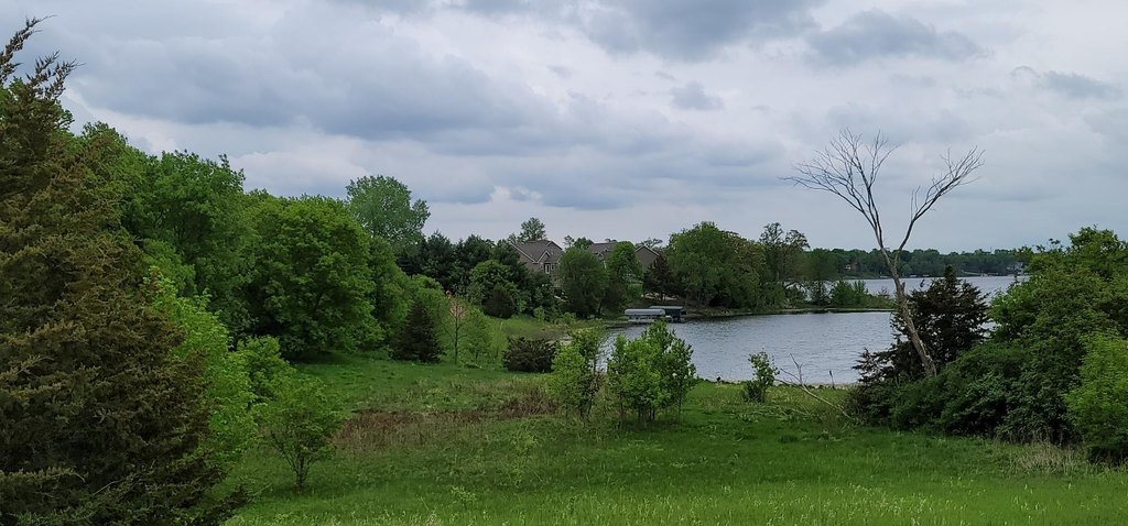 Picture 13