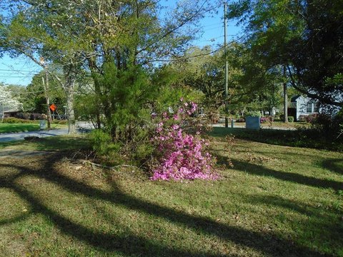 Vacant Corner Lot in Manning