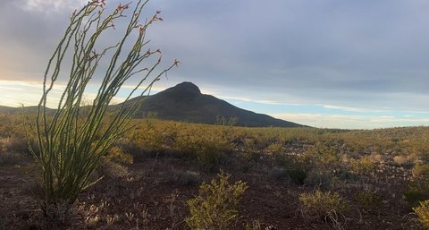 Land Near Big Bend Park