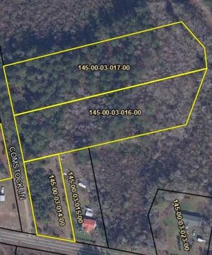 Manning, SC Land For Sale
