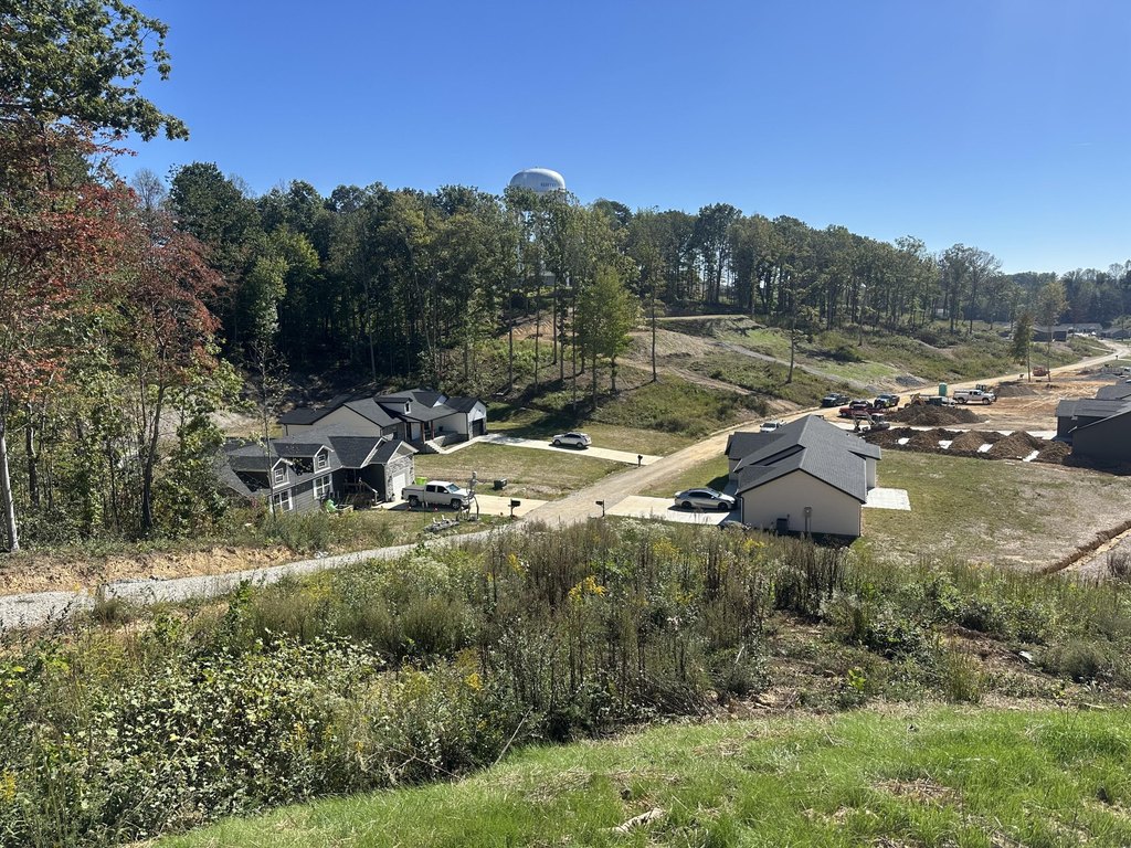 Picture 19