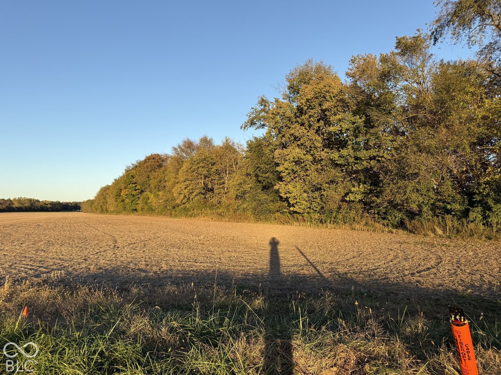Picture 16