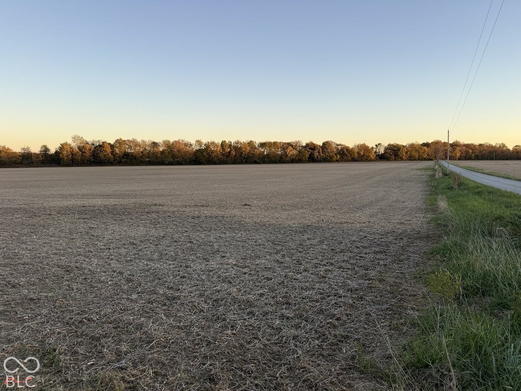 Picture 11