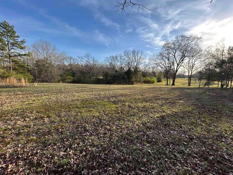 Residential Land in Mena, Arkansas
