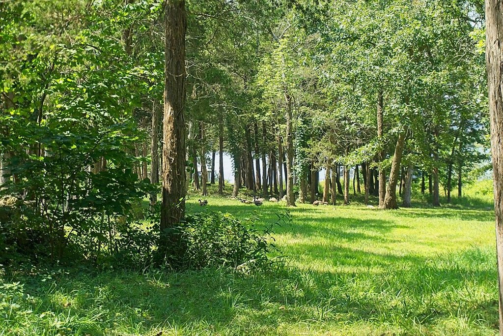Picture 17