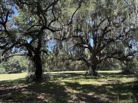 Land, Meggett, SC