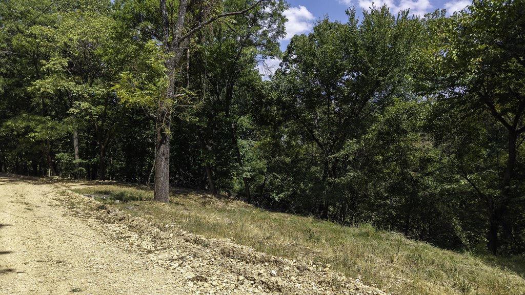 Picture 30