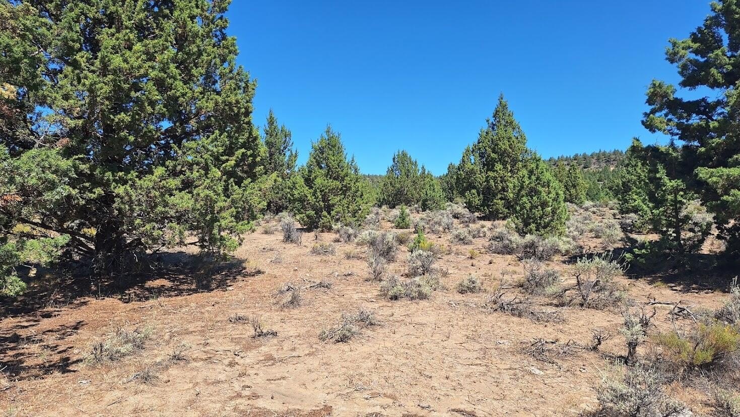 Recreational Land Near Bend, Oregon