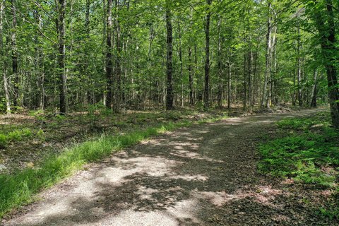 Montville Wooded Lot Near Pond