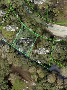 Land, DADE CITY, FL