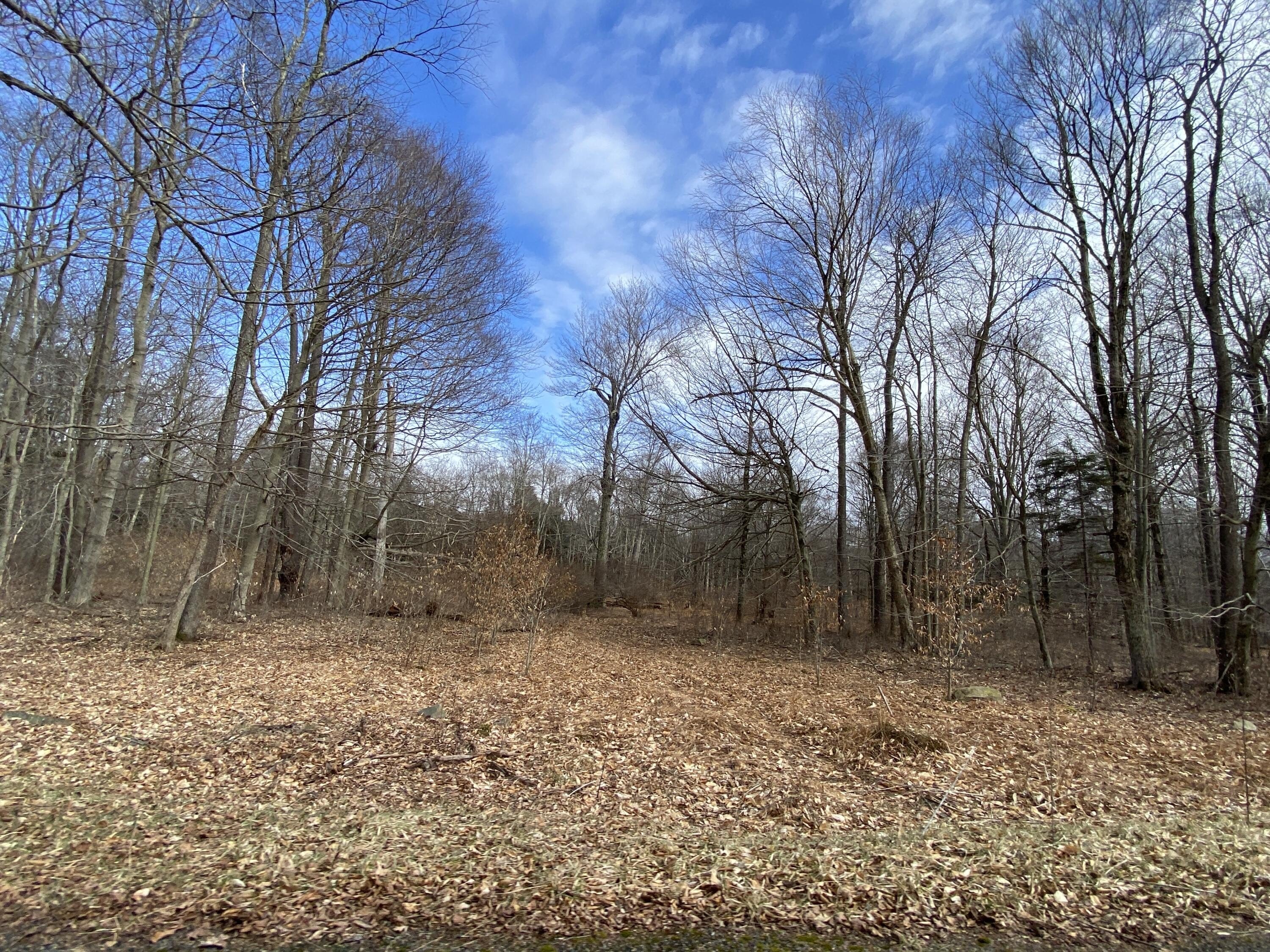 Pocono Lake Land: Build Dream