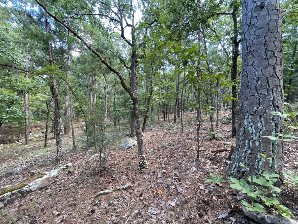 Picture 6