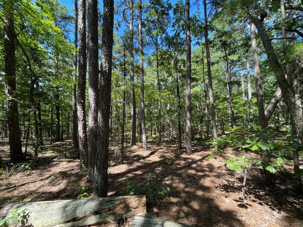 Picture 23