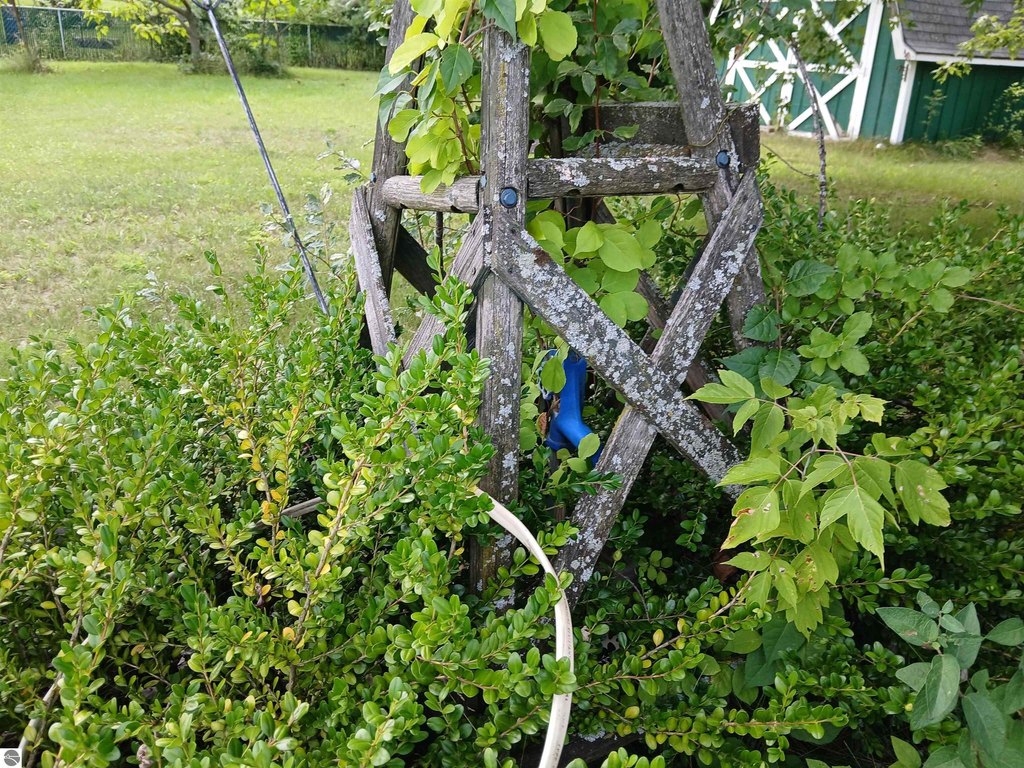 Picture 14
