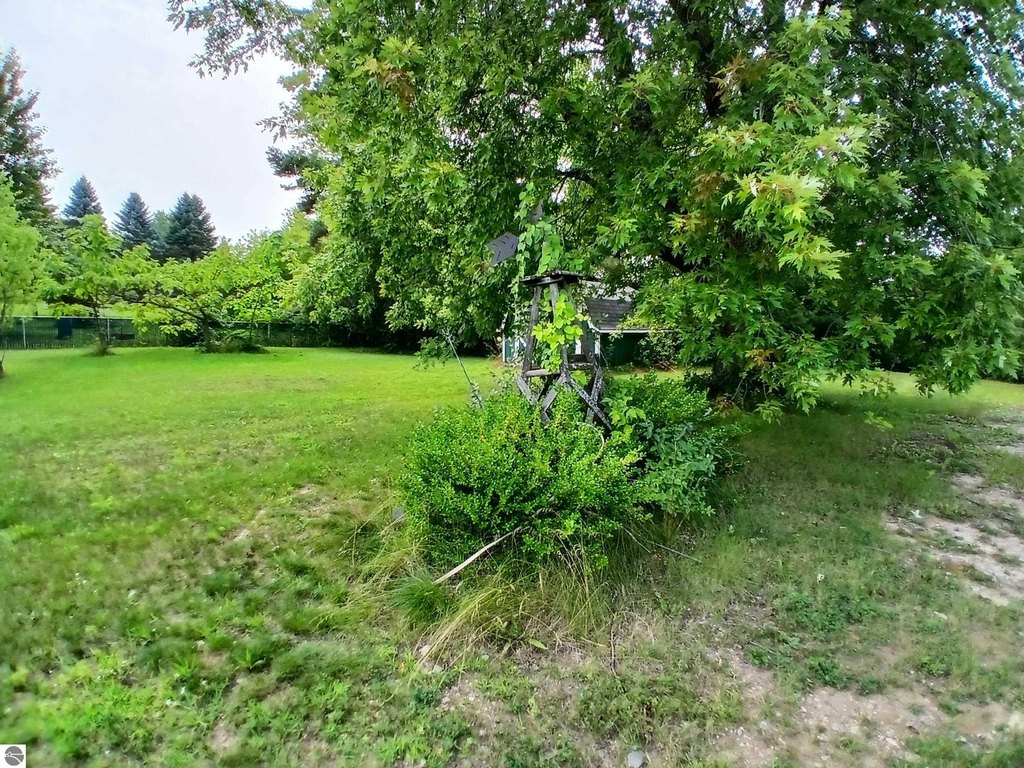 Picture 16