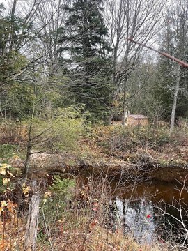 Land by Chocolay River