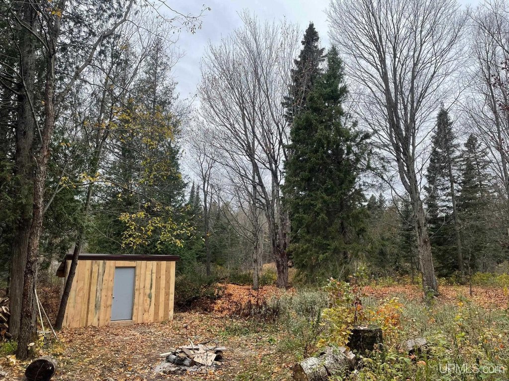 Picture 4