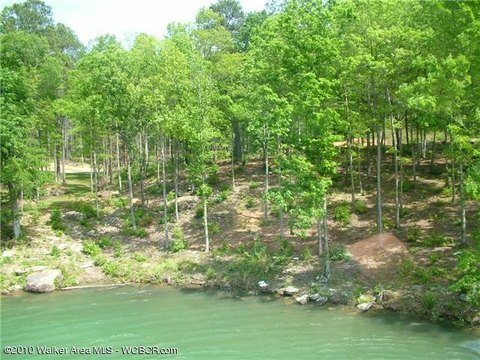 Residential Buildable Lot