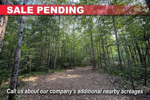 Northwoods Land Ideal Recreational Property