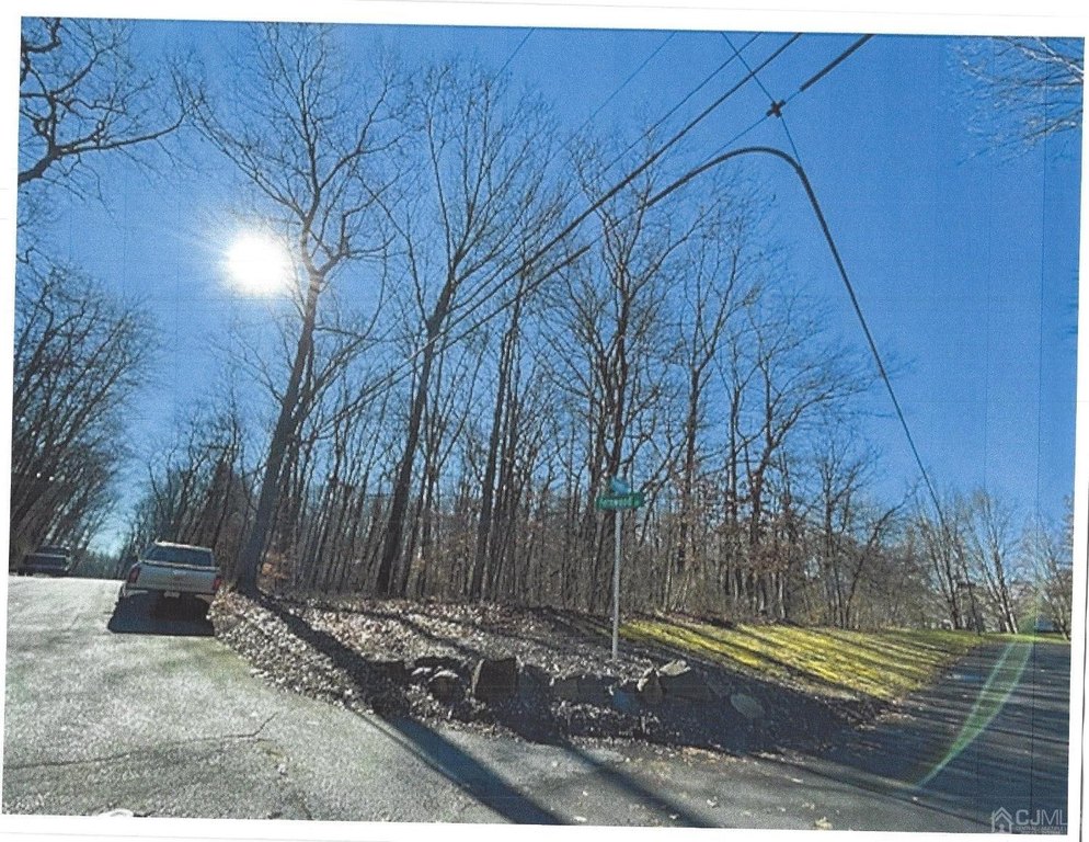 Picture 3