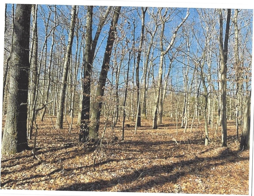 Picture 4