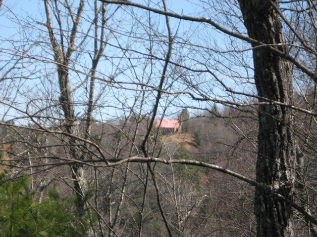 Picture 6
