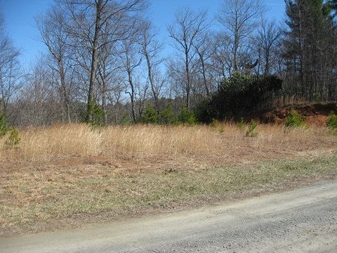 Land, Woodlawn, VA