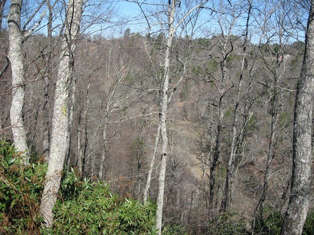 Picture 7