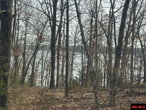 Wooded Lot Near Bull Shoals