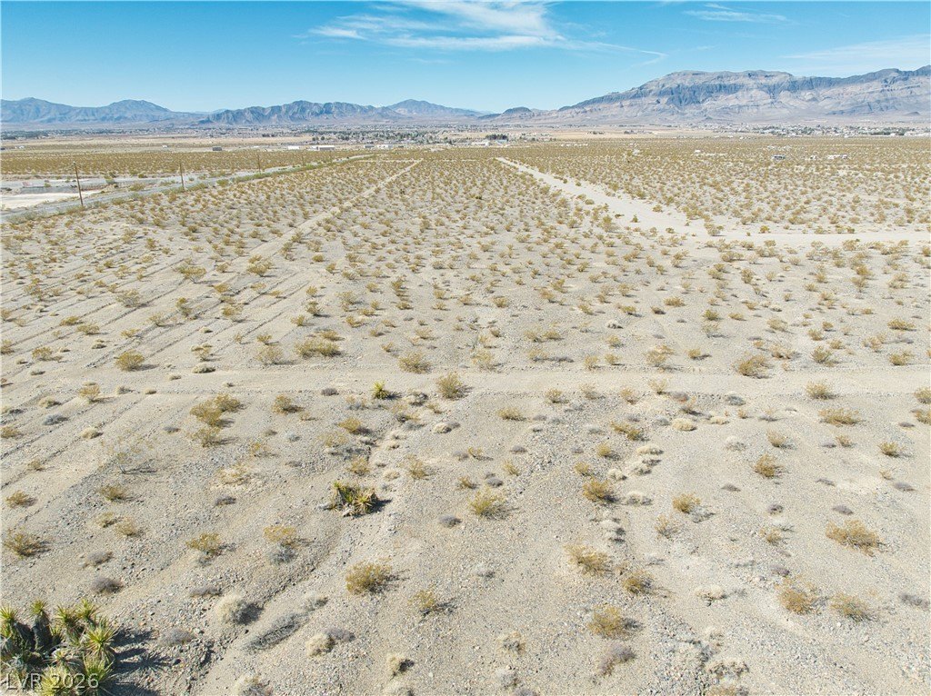 Picture 8