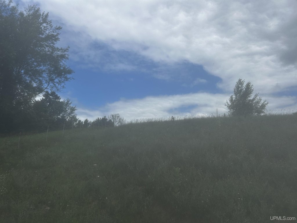 Picture 29