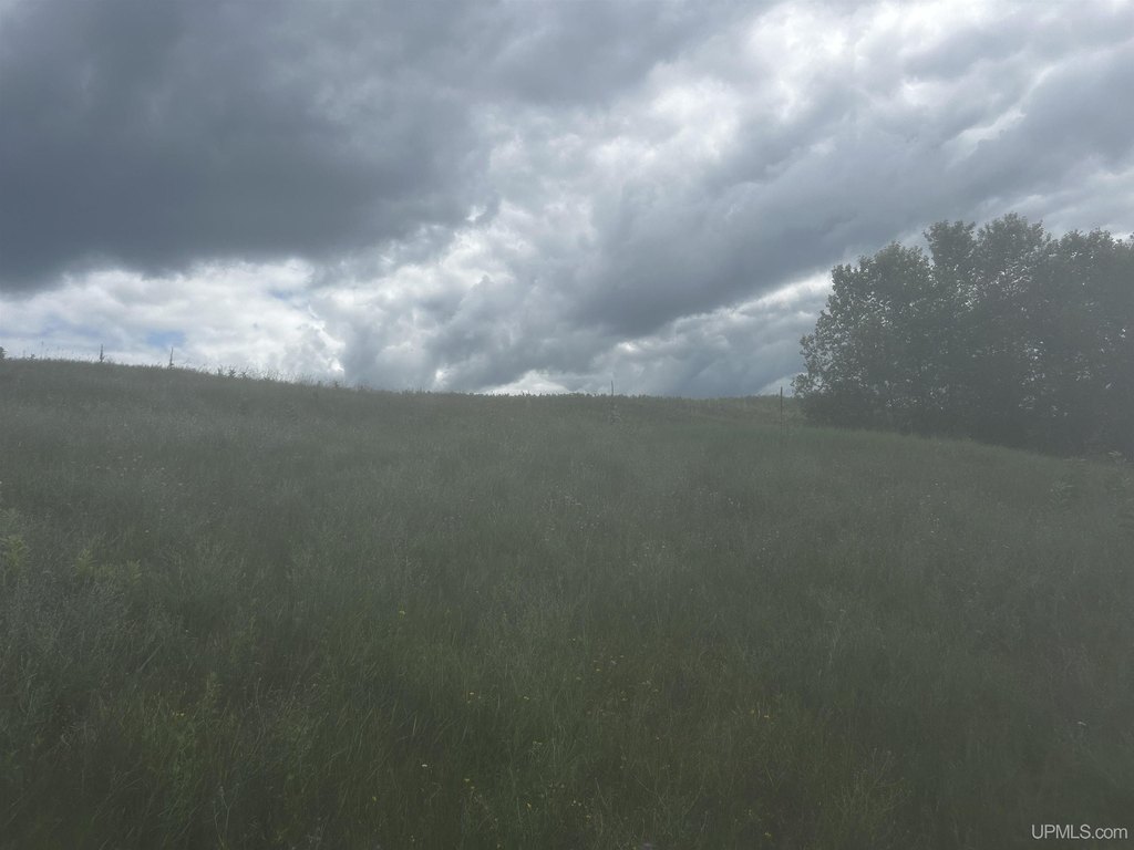 Picture 28