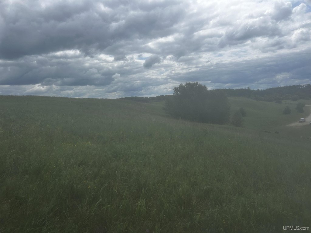 Picture 32
