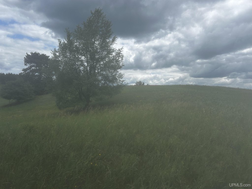 Picture 33