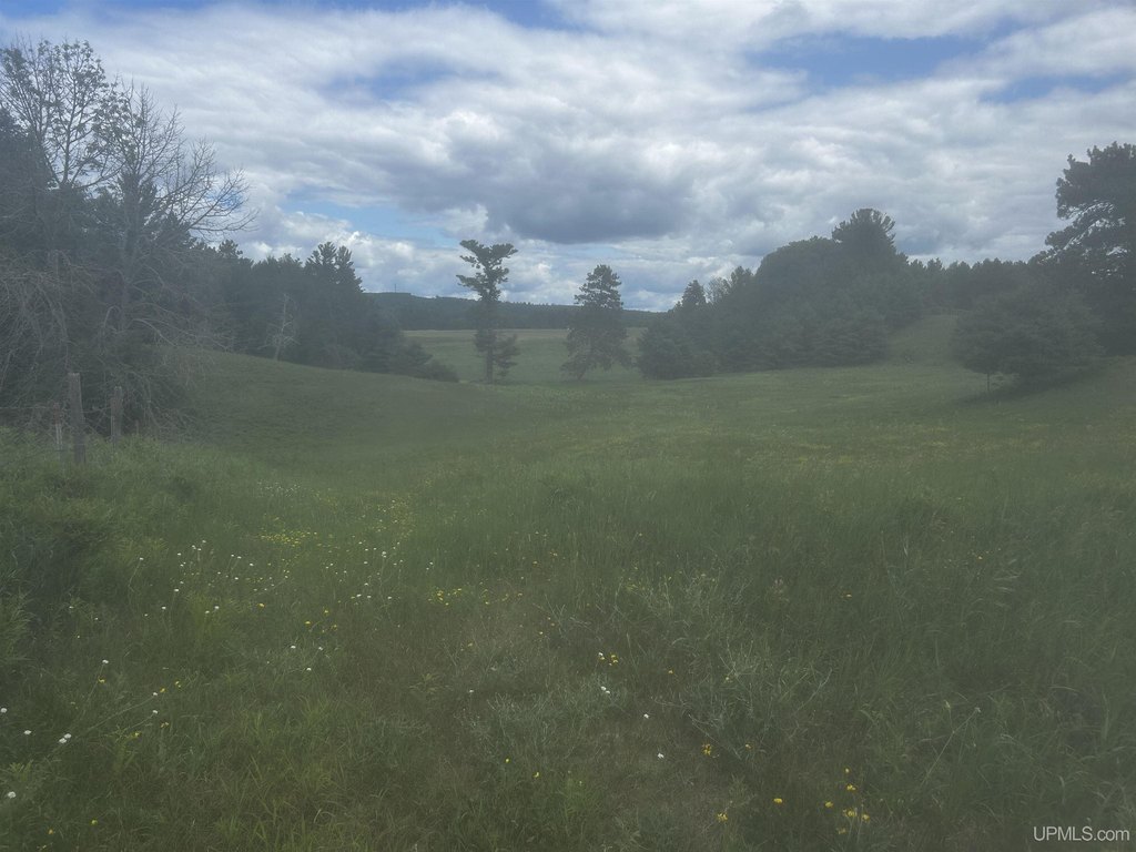 Picture 31
