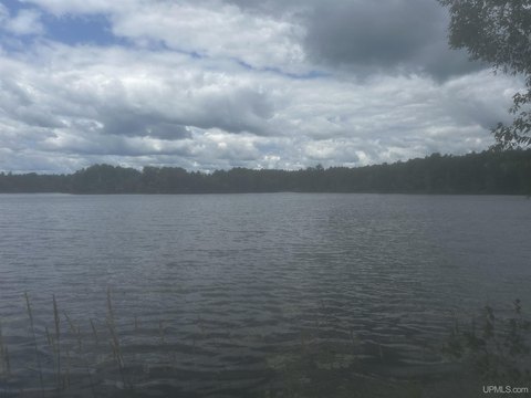 LAND - Vulcan, MI