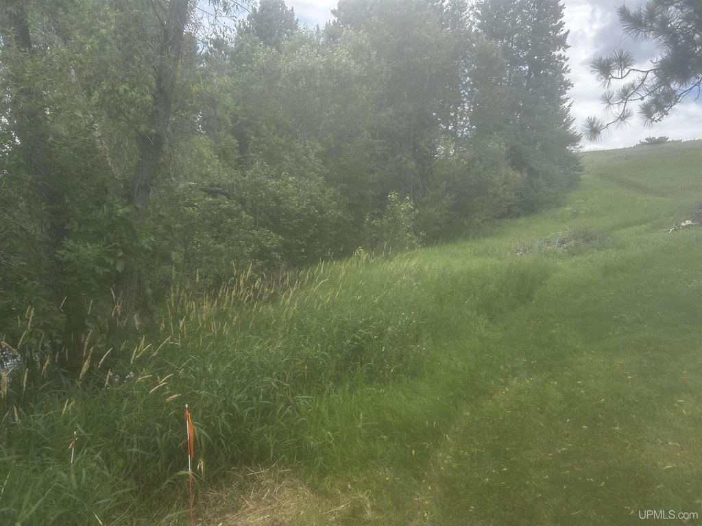 Picture 27