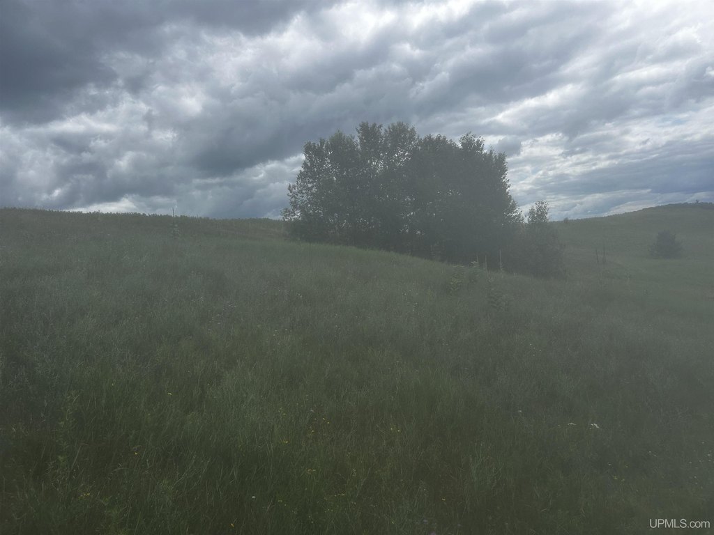 Picture 34