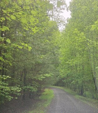 Blue Ridge Vacant Lot