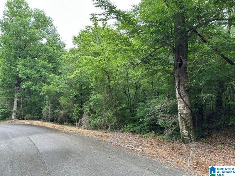 Waterfront Residential Land Lot