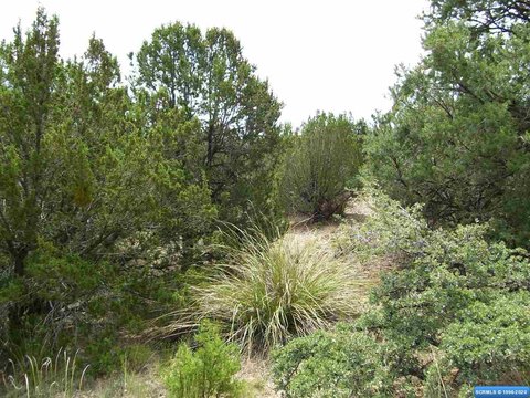 LAND - Mimbres, NM