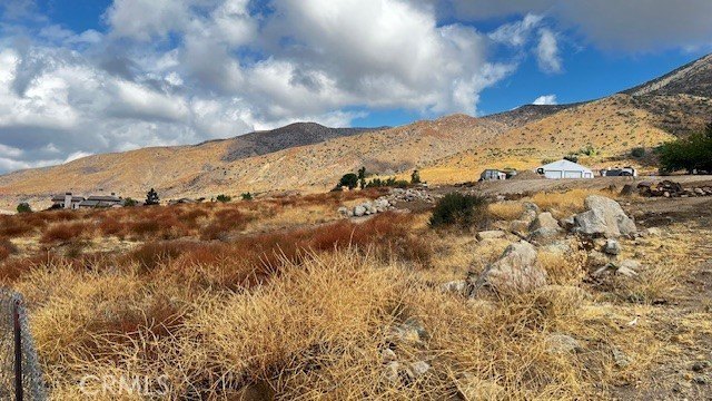 Picture 27
