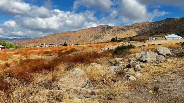 Picture 25
