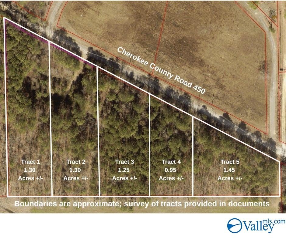 Undeveloped Land Near Weiss Lake