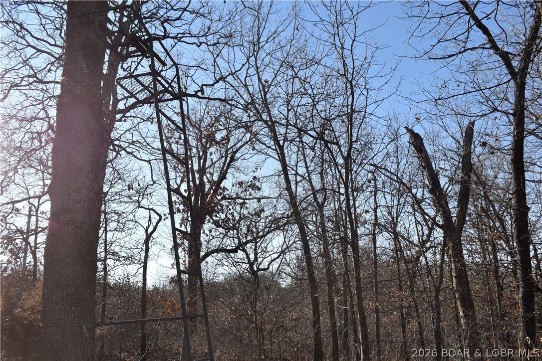 Ozarks Retreat: 35 Acres Land